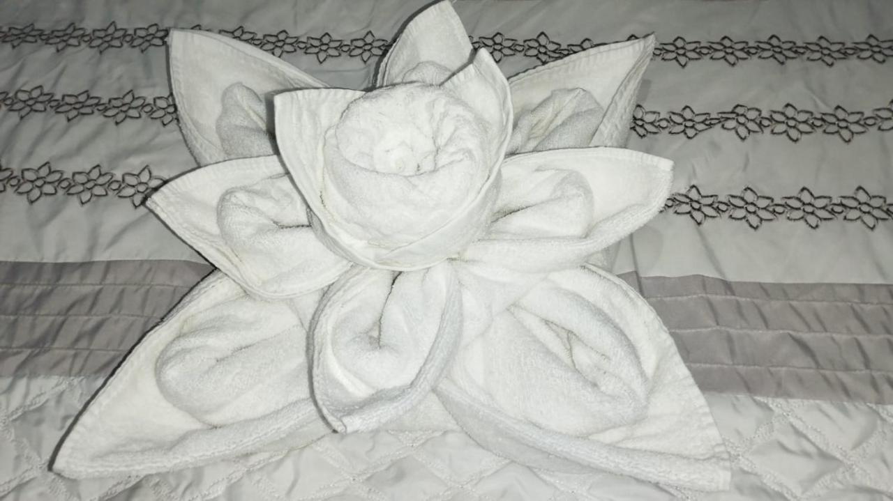 סן פדרו סולה Seven Days Hotel מראה חיצוני תמונה